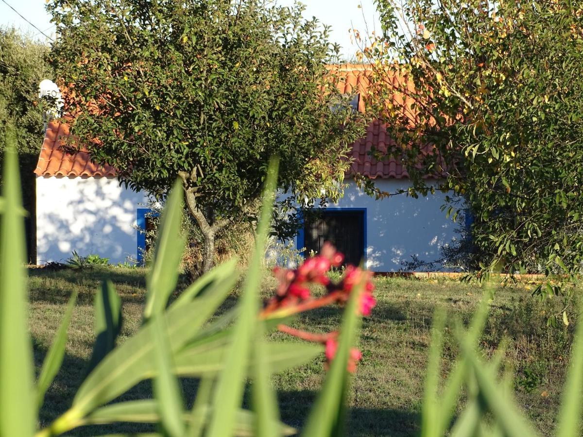 Quinta Das Teimosas By Stay In Alentejo Cercal do Alentejo Εξωτερικό φωτογραφία